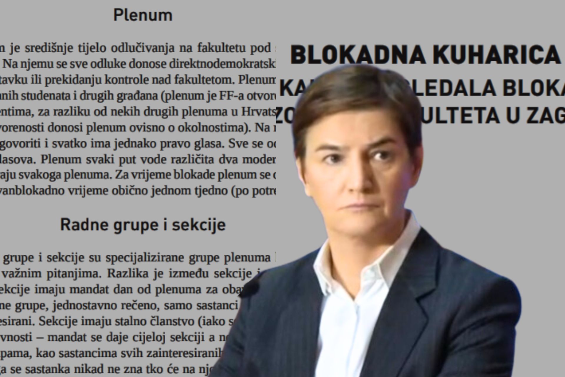 ana brnabić blokadna kuharica